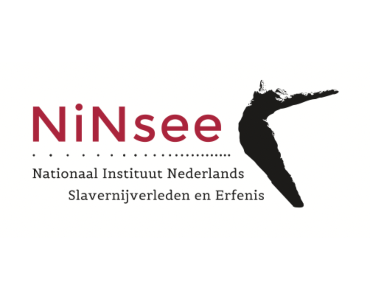 logo NiNsee vacature penningmeester